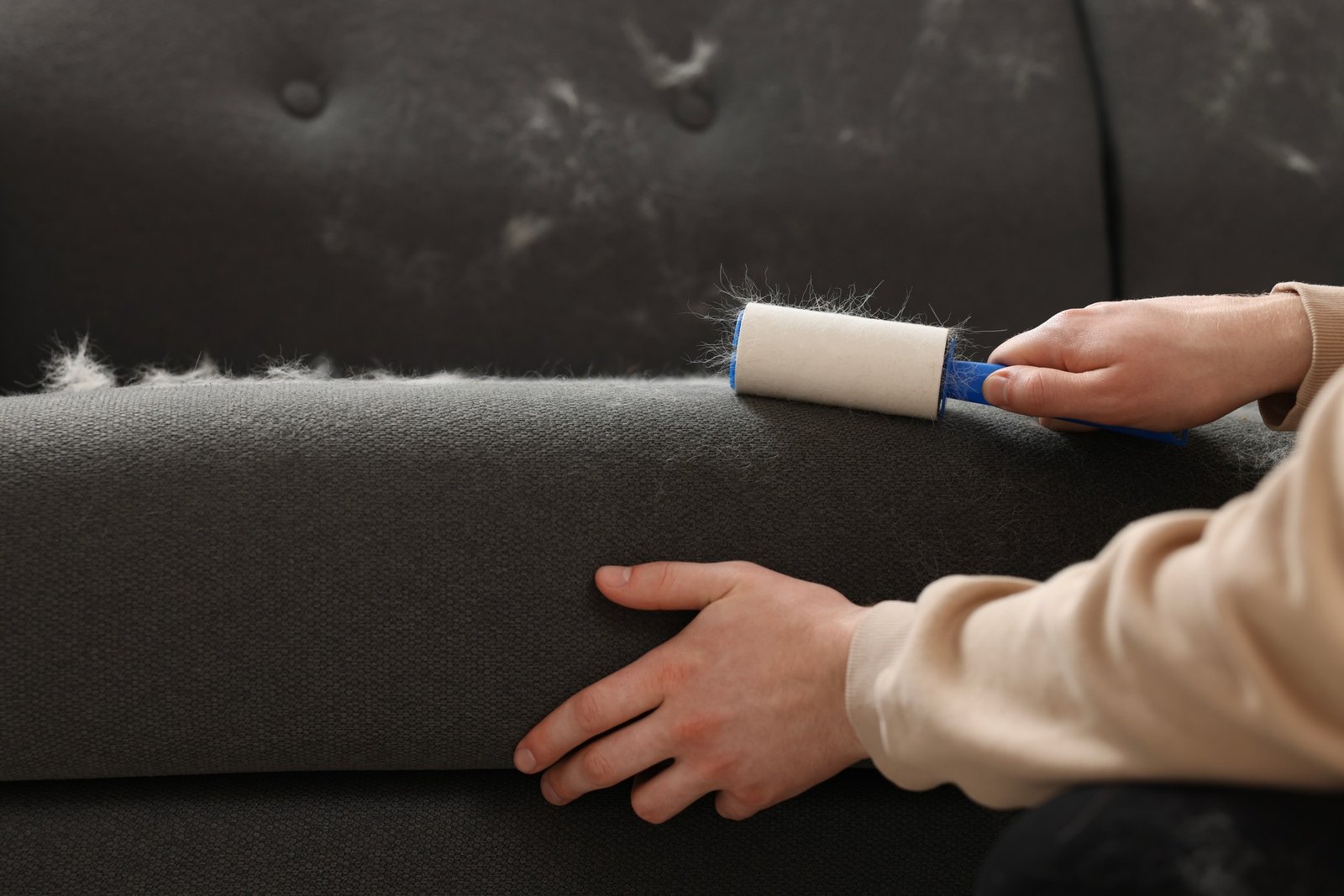 Hundehaare vom Sofa entfernen mit Fusselroller